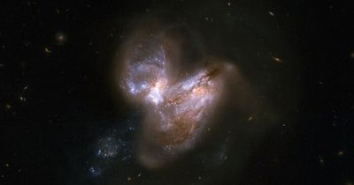 Supermassive black hole lurking at edge of universe one of biggest ever detected