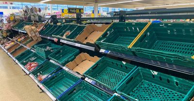 Shoppers warned fruit and veg shortages could last until MAY as supermarkets ration stock