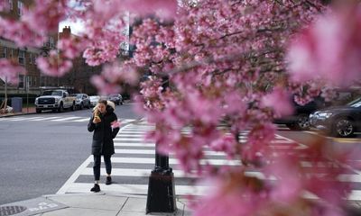 Parts of US see earliest spring conditions on record: ‘Climate change playing out in real time’