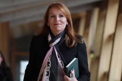 SNP has dismantled Yes movement since 2014 and I will change that, says Regan