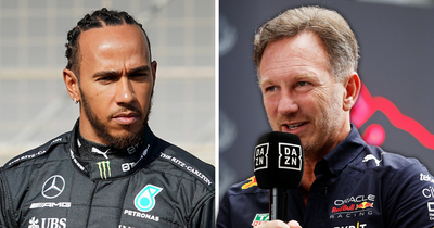 Christian Horner says Lewis Hamilton decision would leave Mercedes "in the s***"