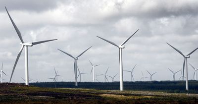 Government promises planning reform after pressure from wind farm builders