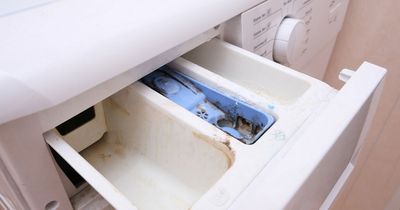 Mrs Hinch fans share £1 tip for removing washing machine drawer stains and mould