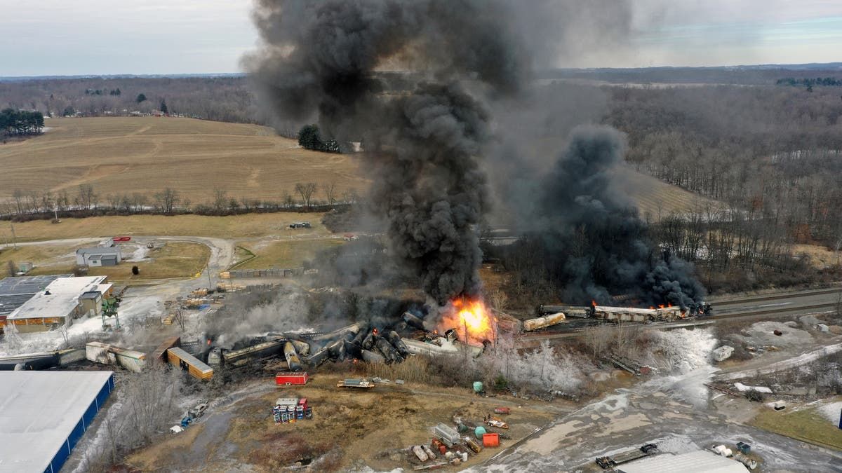 Ohio train crash killed more than 43,700 animals, say…