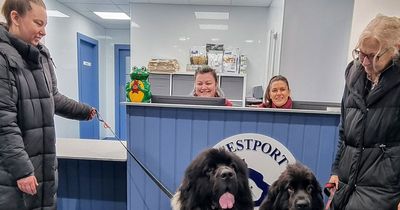 West Lothian vets welcome furry friends at brand new premises