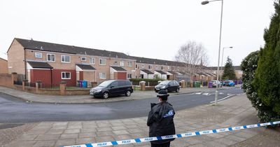 Neighbours heard 'two bangs' before police search garden