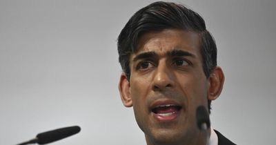 Rishi Sunak faces showdown with Tories as he prepares to unveil Brexit deal 'in days'