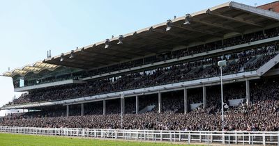 Cheltenham Festival visitors set to be hit with shocking price hike