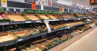 Empty East Lothian Lidl vegetable aisle captured in bleak images of UK shortage