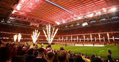 What the WRU could learn from the Irish Rugby Football Union business model