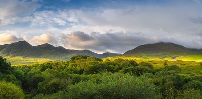 Ireland has lost almost all of its native forests – here's how to bring them back