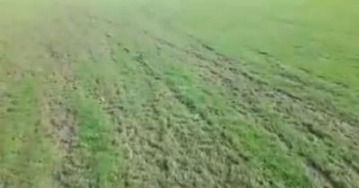 Underage football team heartbroken after pitch destroyed by scramblers