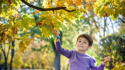 Social Media Making Kids Depressed? Send Them Outside To Play