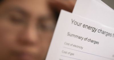 Warning over scam emails trying to 'rip off' people seeking energy bill support