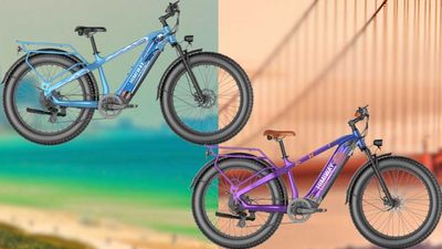 Himiway Presents California And Florida Editions Of The Zebra E-Bike