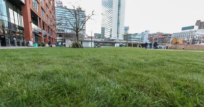 Behold... Piccadilly Gardens in all its lush glory as grass 'looking like Wimbledon' - for now