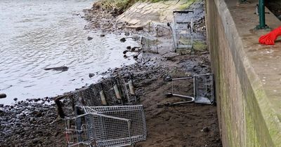 The staggering number of shopping trollies dumped in the River Irwell is raising the riverbed