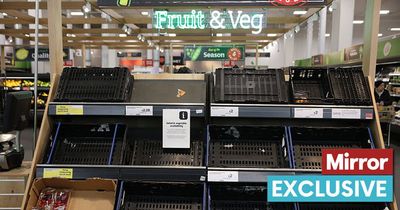 The real reason why supermarket shelves lay empty - while corner shops are piled high