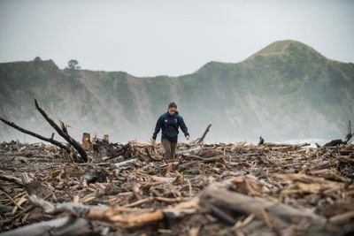 ‘Like a tsunami’: the role of forestry waste in New Zealand’s cyclone devastation