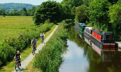 Calls to limit boat traffic to protect wildlife on restored Welsh canal