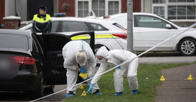 Suspect in Swords stabbing was brought to garda station by relative