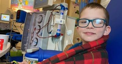 Kirkintilloch boy born without 'properly formed' kidneys undergoes transplant at Glasgow hospital
