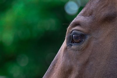 The Wildest Sci-fi Movie On Netflix Reveals a Real-Life Ethical Dilemma