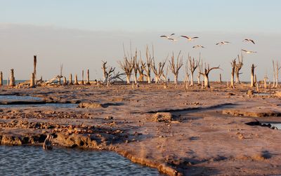 Argentina in talks with IMF to ease reserves targets amid drought