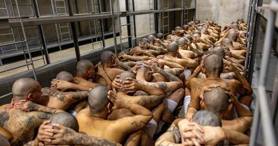Mega-prison in El Salvador where 40,000 suspected gangsters crammed in side by side