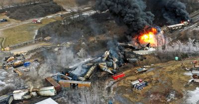 Around 45,000 animals die after train derails and releases deadly toxic chemicals