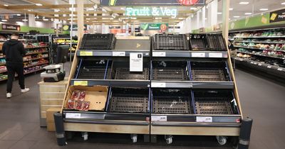 'Brexit fruits clear at last - we've taken back control of what little veg we have'