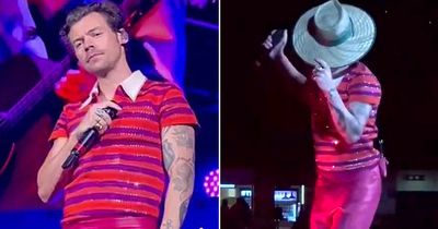 Harry Styles dons iconic Bunnings hat during packed concert in Australia
