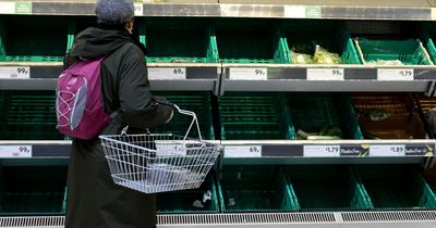 Brits warned vegetable shortages could be 'tip of the iceberg' as 'UK at tipping point'