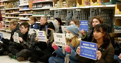 Animal Rebellion stages Sainsbury’s sit-in at Clifton store's egg aisle