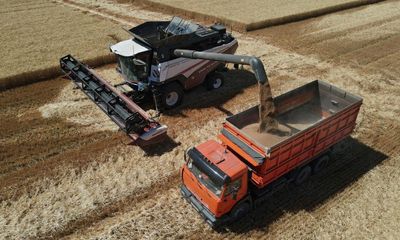 Bitter harvest for some in a global economy changed by Russia’s war