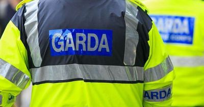 Cyclist airlifted from scene after horror crash with parked lorry in Wexford