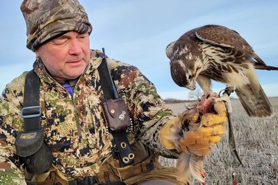 On the Kansas prairie, a master falconer develops a unique bond with birds of prey