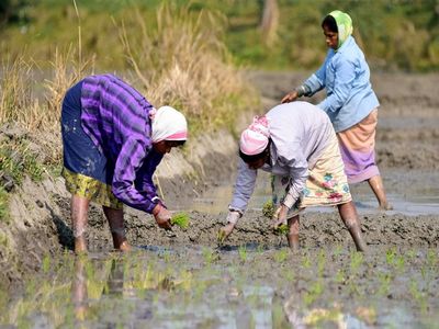 PM Modi to release 13th instalment of PM-KISAN scheme tomorrow