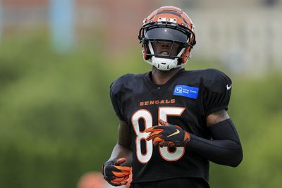 Bengals’ Tee Higgins ranked as one of NFL’s best WRs vs. single coverage