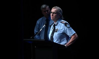 Queensland human rights commissioner says police must watch for vigilante activity