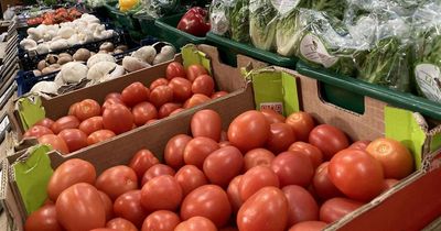 Farm shop owner with surplus tomatoes jokes he'll be getting armed security amid shortages