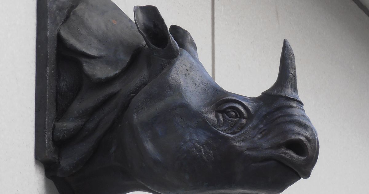 The curious reason an Edinburgh building has a rhino…