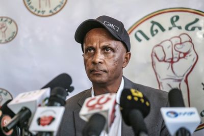 Ethiopian dissident Eskinder Nega freed from detention: party