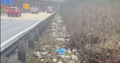 Anger over 'filthy dump' as litter plagues motorways leaving UK looking like 'rubbish bin'