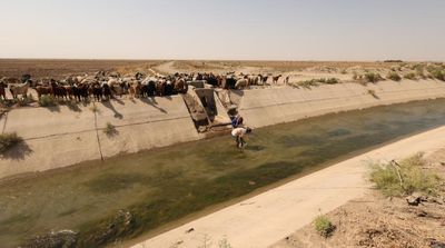 Iraq: Levels of Tigris and Euphrates Plunge in South