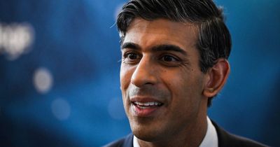 Rishi Sunak warned hardline Tory rebels won't hesitate to slap down new Brexit deal