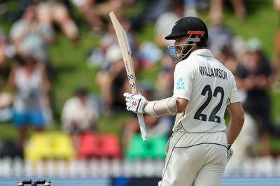 Record-breaking Williamson gives New Zealand 99-run lead at lunch