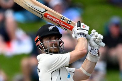 Kane Williamson holds England up as New Zealand rally in Wellington