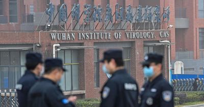 Covid most likely DID leak from Wuhan virus lab causing pandemic, US report says