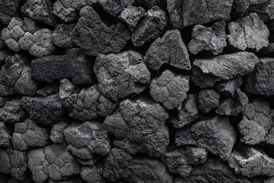 How India allowed RP-Sanjiv Goenka firms to beat coal auctions
